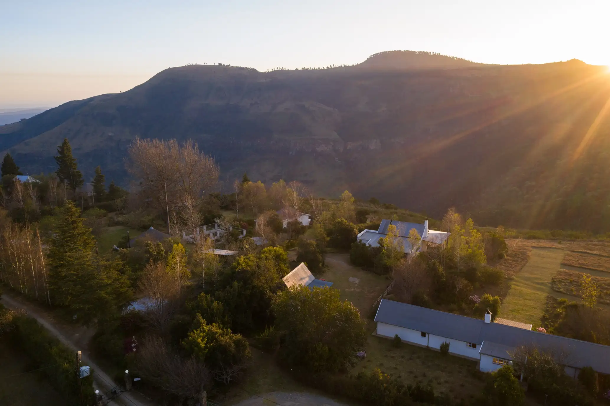 Forest and mountain view at The Edge Mountain Retreat